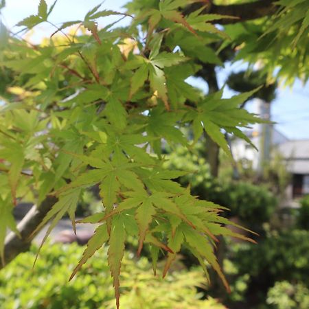 Villa 立花荘 Matsuyama  Exterior foto