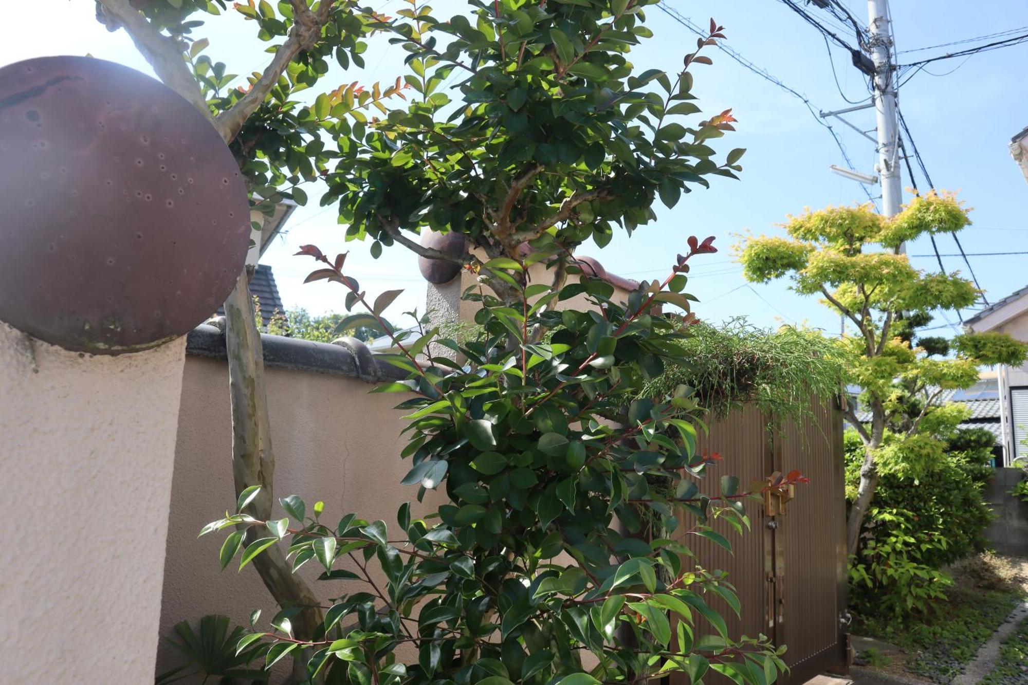 Villa 立花荘 Matsuyama  Exterior foto